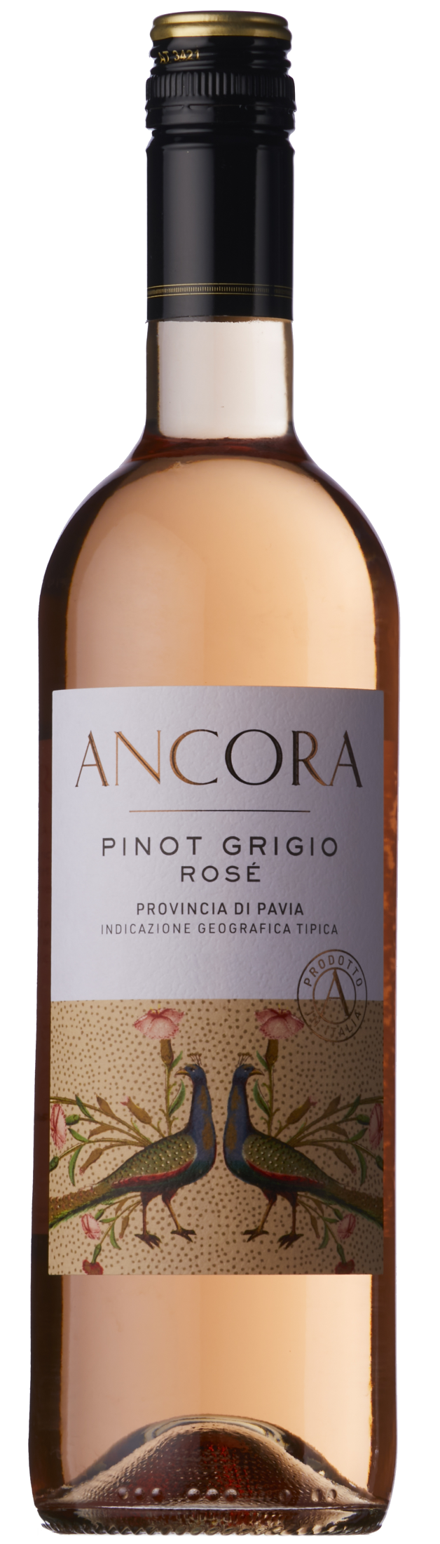 Ancora Pinot Grigio Rose