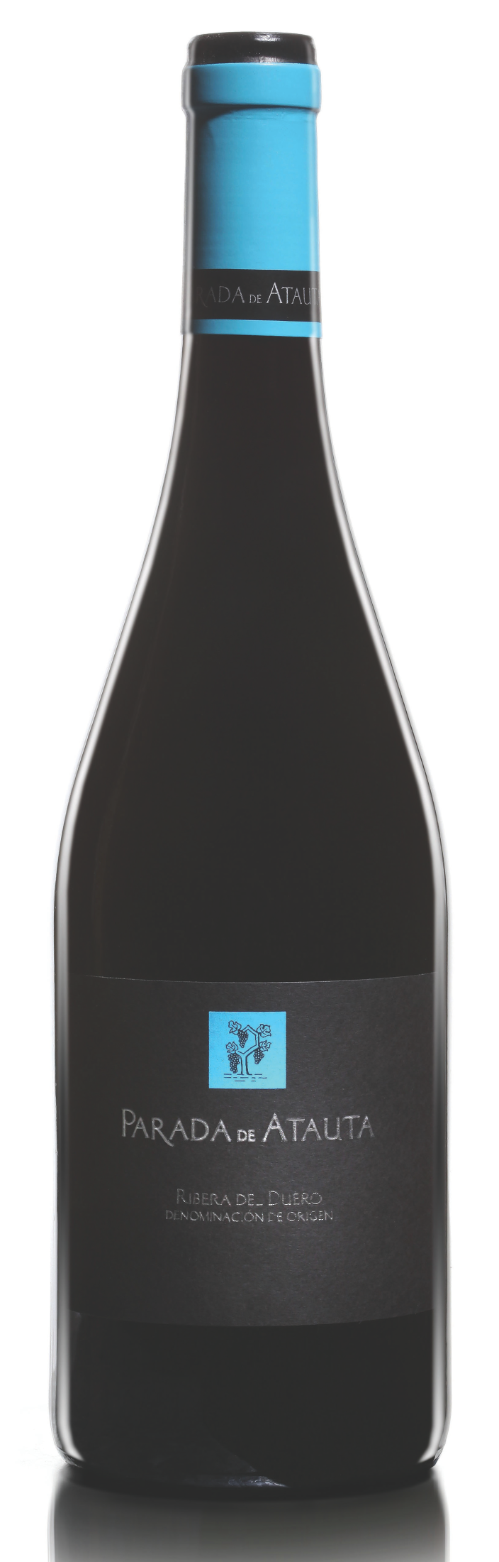 Parada de Atauta, DO Ribera del Duero